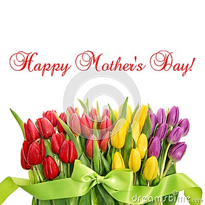 Tulips with water drops Spring flowers Happy Mothers Day Stock Photo
